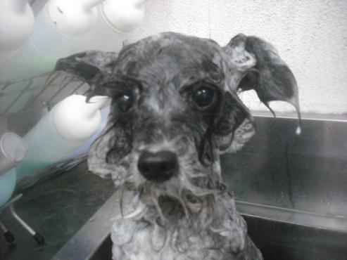 ファイル 2392-2.jpg