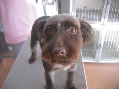 ファイル 2394-1.jpg