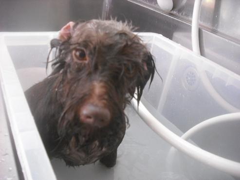 ファイル 2394-2.jpg