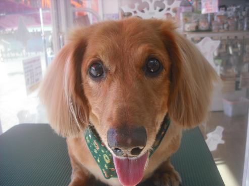 ファイル 2396-1.jpg