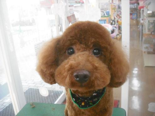 ファイル 2397-1.jpg