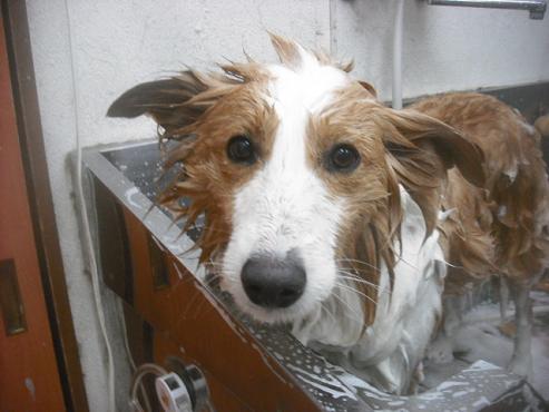 ファイル 2399-2.jpg