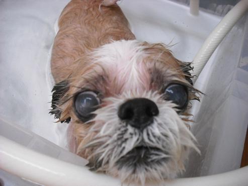 ファイル 24-2.jpg