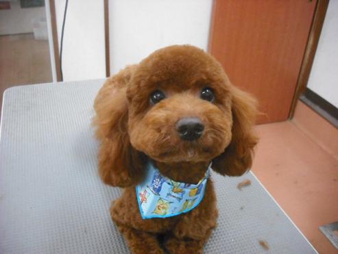 ファイル 240-1.jpg