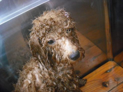 ファイル 240-2.jpg