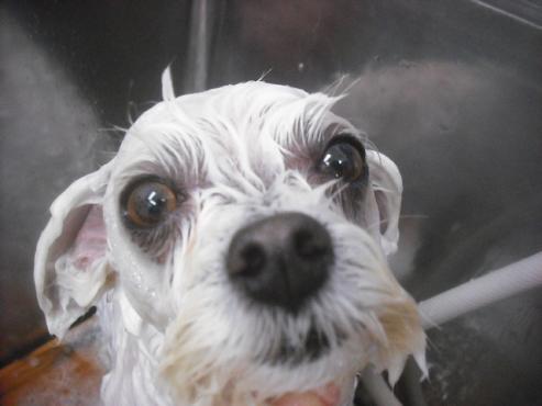 ファイル 2400-2.jpg