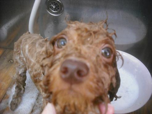 ファイル 2401-2.jpg