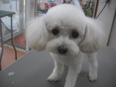 ファイル 2402-1.jpg