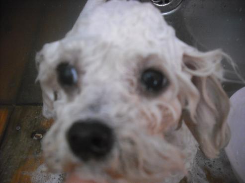 ファイル 2402-2.jpg