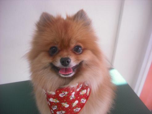 ファイル 2403-1.jpg