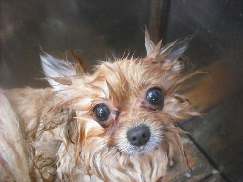 ファイル 2403-2.jpg