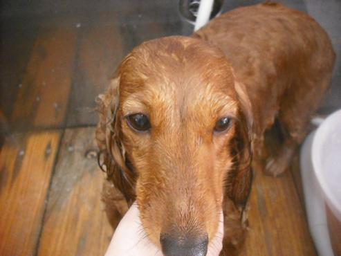 ファイル 2405-2.jpg