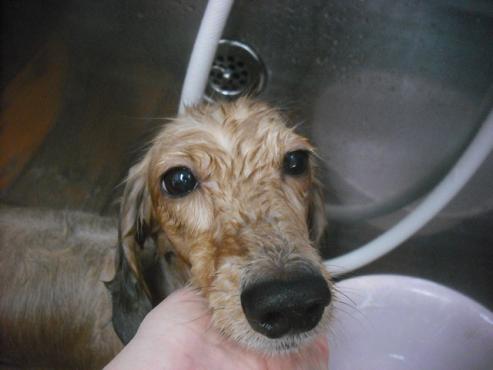 ファイル 2406-2.jpg