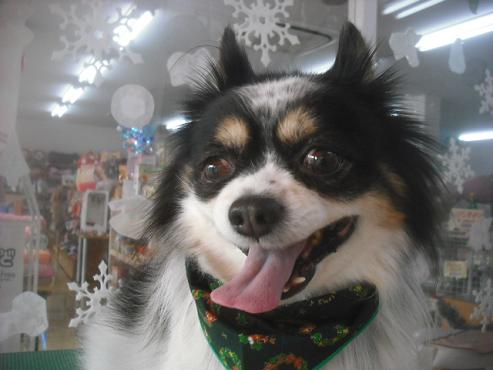 ファイル 2408-1.jpg