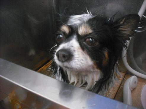 ファイル 2408-2.jpg