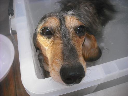 ファイル 2409-2.jpg