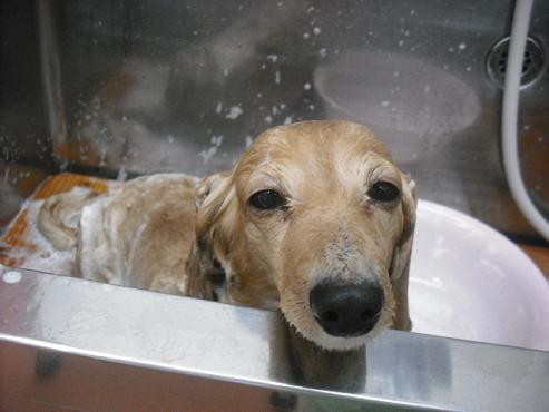 ファイル 241-1.jpg