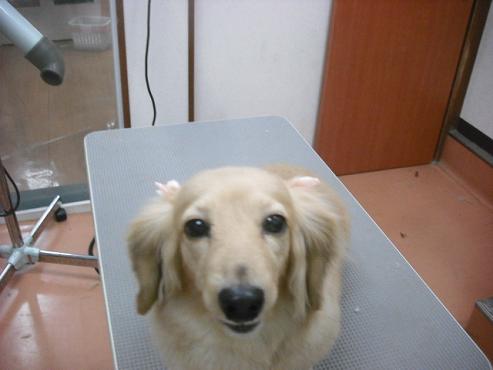 ファイル 241-2.jpg