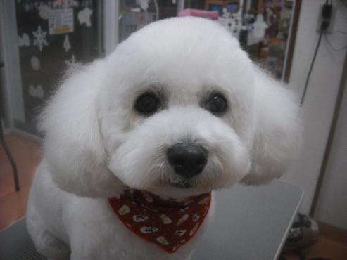 ファイル 2412-1.jpg