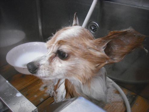 ファイル 2414-2.jpg