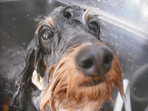 ファイル 2416-2.jpg