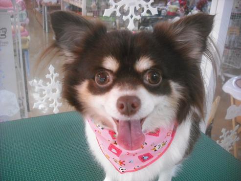 ファイル 2418-1.jpg