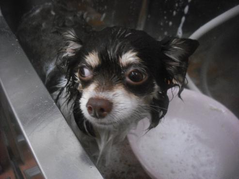 ファイル 2418-2.jpg