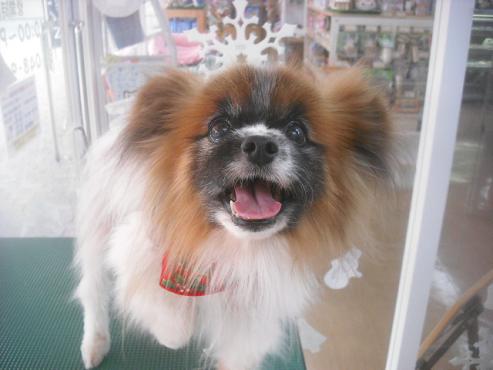 ファイル 2419-1.jpg