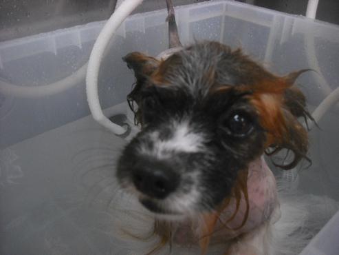 ファイル 2419-2.jpg