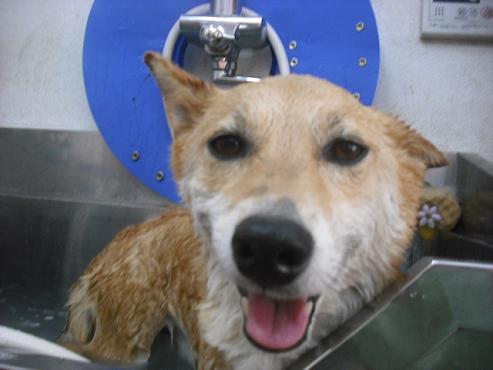 ファイル 242-2.jpg