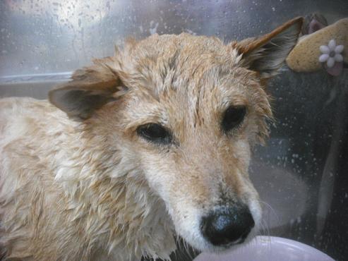 ファイル 2420-2.jpg