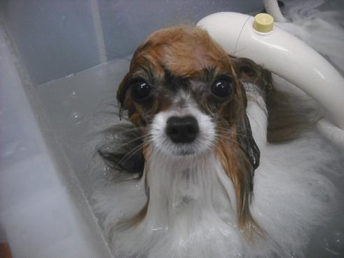 ファイル 2422-2.jpg