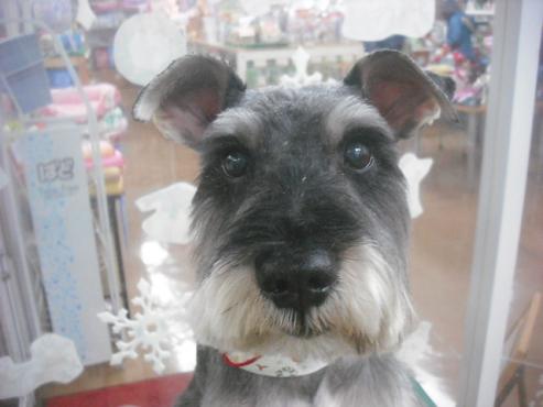 ファイル 2423-1.jpg