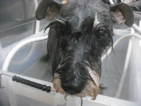 ファイル 2423-2.jpg