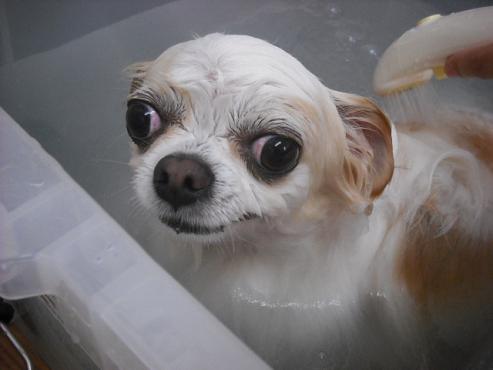 ファイル 243-2.jpg