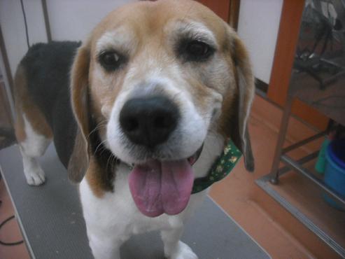 ファイル 2430-2.jpg