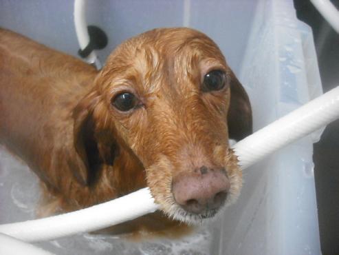 ファイル 2431-2.jpg