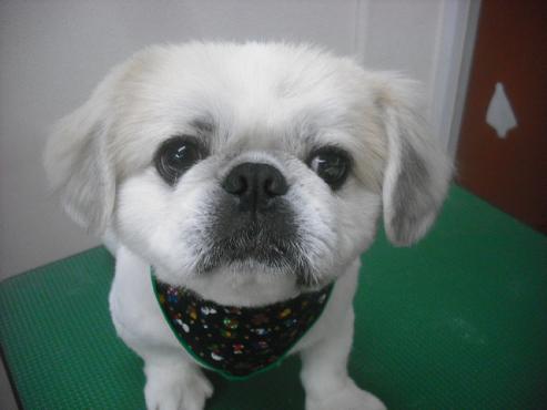 ファイル 2432-1.jpg