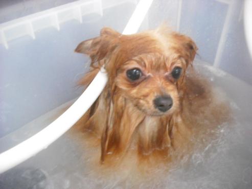 ファイル 2434-2.jpg