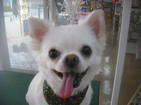 ファイル 2435-1.jpg