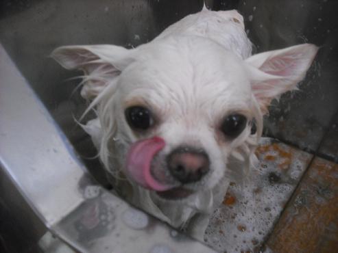 ファイル 2435-2.jpg