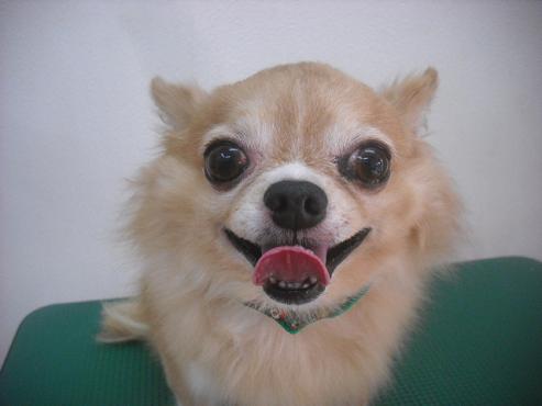 ファイル 2436-1.jpg