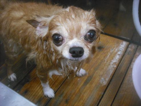 ファイル 2436-2.jpg