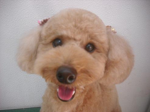 ファイル 2438-1.jpg