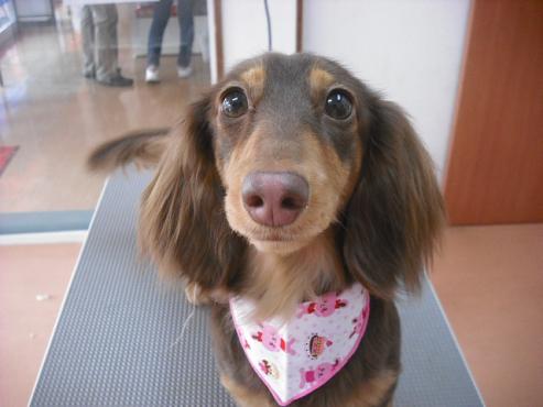 ファイル 244-1.jpg