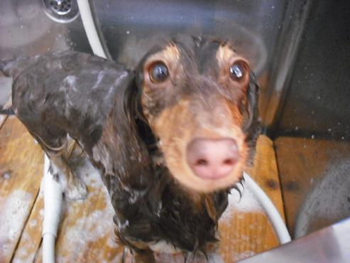 ファイル 244-2.jpg