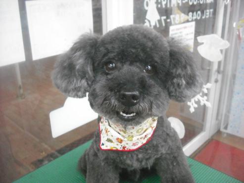 ファイル 2440-1.jpg