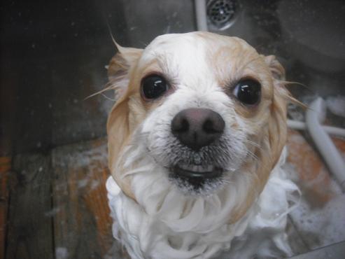 ファイル 2442-2.jpg