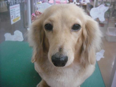 ファイル 2443-1.jpg