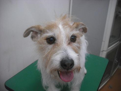 ファイル 2444-1.jpg